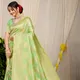 C Green__Royal Rajgharana Sarees